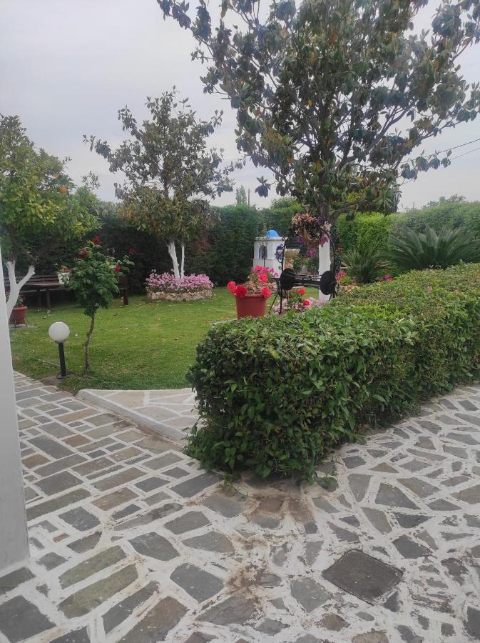 Tsagga House Διαμέρισμα Ωρωπός Εξωτερικό φωτογραφία
